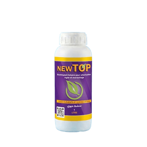 NEWTOP