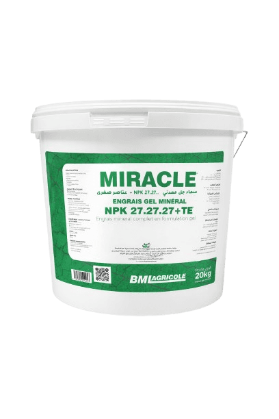 MIRACLE