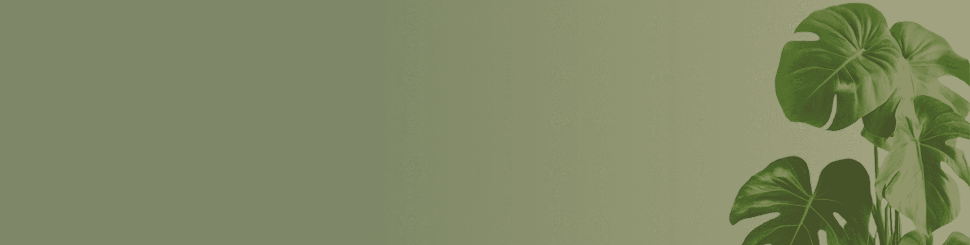 Hero background